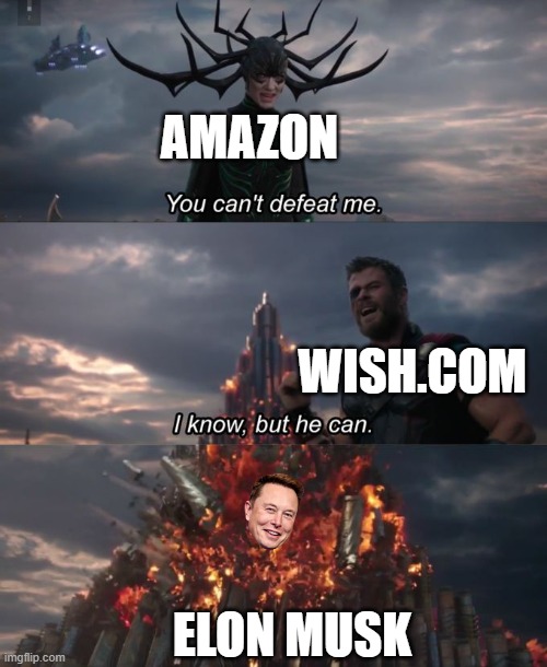 You can't defeat me | AMAZON; WISH.COM; ELON MUSK | image tagged in you can't defeat me | made w/ Imgflip meme maker