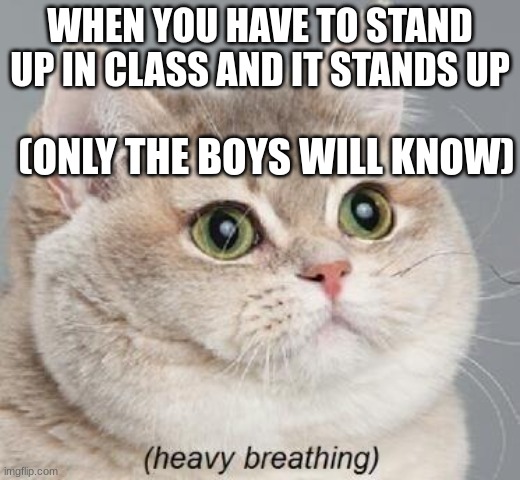 boy problems | WHEN YOU HAVE TO STAND UP IN CLASS AND IT STANDS UP; (ONLY THE BOYS WILL KNOW) | image tagged in memes,heavy breathing cat | made w/ Imgflip meme maker