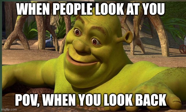 only in Ohio | WHEN PEOPLE LOOK AT YOU; POV, WHEN YOU LOOK BACK | image tagged in memes,funny memes,shrek,goofy ahh | made w/ Imgflip meme maker