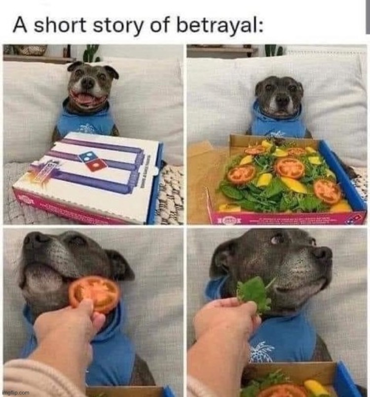 A short story of betrayal | image tagged in betrayal,funny,dogs,memes,story | made w/ Imgflip meme maker