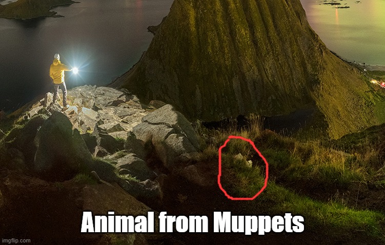 Animal from Muppets | made w/ Imgflip meme maker