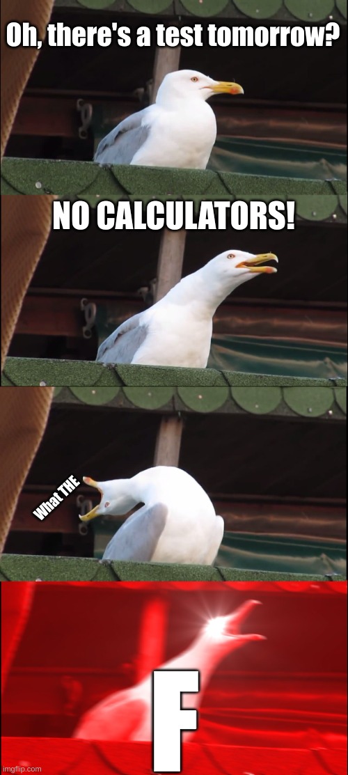 Inhaling Seagull | Oh, there's a test tomorrow? NO CALCULATORS! What THE; F | image tagged in memes,inhaling seagull | made w/ Imgflip meme maker