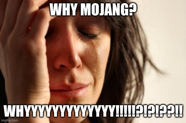 First World Problems Meme | WHY MOJANG? WHYYYYYYYYYYYYY!!!!!?!?!??!! | image tagged in memes,first world problems | made w/ Imgflip meme maker