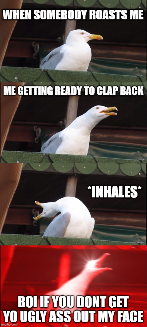 Inhaling Seagull Meme | WHEN SOMEBODY ROASTS ME; ME GETTING READY TO CLAP BACK; *INHALES*; BOI IF YOU DONT GET YO UGLY ASS OUT MY FACE | image tagged in memes,inhaling seagull | made w/ Imgflip meme maker