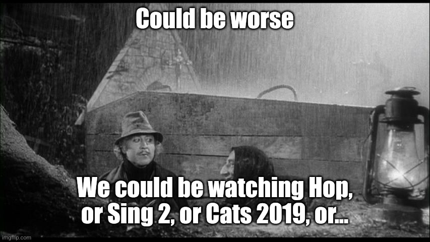 Could be worse | Could be worse; We could be watching Hop, or Sing 2, or Cats 2019, or... | image tagged in could be worse | made w/ Imgflip meme maker