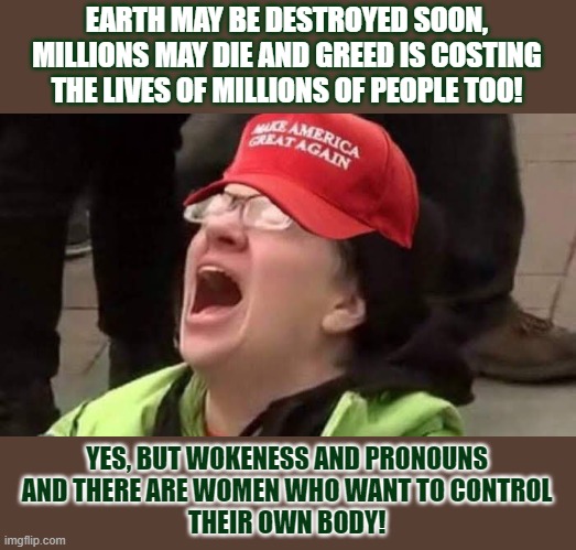 Who benefits from people not focusing on real problems? | EARTH MAY BE DESTROYED SOON,
MILLIONS MAY DIE AND GREED IS COSTING
THE LIVES OF MILLIONS OF PEOPLE TOO! YES, BUT WOKENESS AND PRONOUNS
AND THERE ARE WOMEN WHO WANT TO CONTROL
THEIR OWN BODY! | image tagged in distraction,climate change,greed,maga,first world problems | made w/ Imgflip meme maker