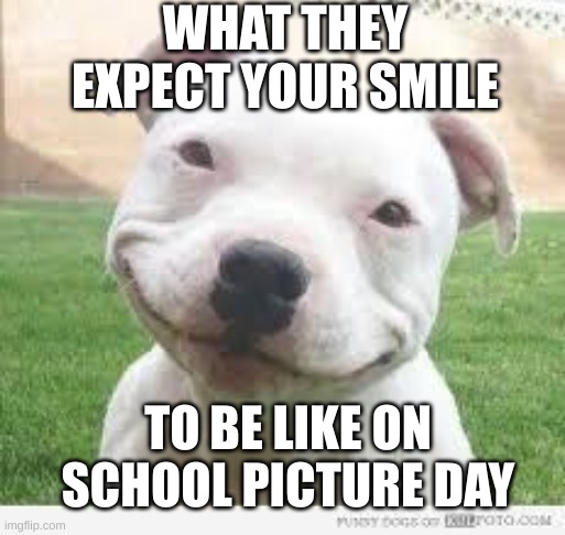 Happy Friday Puppy | WHAT THEY EXPECT YOUR SMILE; TO BE LIKE ON SCHOOL PICTURE DAY | image tagged in happy friday puppy | made w/ Imgflip meme maker