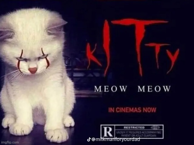 kITty | image tagged in kitty | made w/ Imgflip meme maker