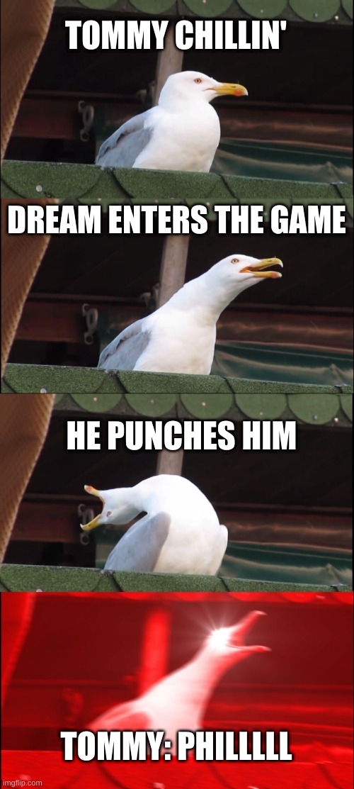 punch | TOMMY CHILLIN'; DREAM ENTERS THE GAME; HE PUNCHES HIM; TOMMY: PHILLLLL | image tagged in memes,inhaling seagull,dream smp,tommyinnit | made w/ Imgflip meme maker
