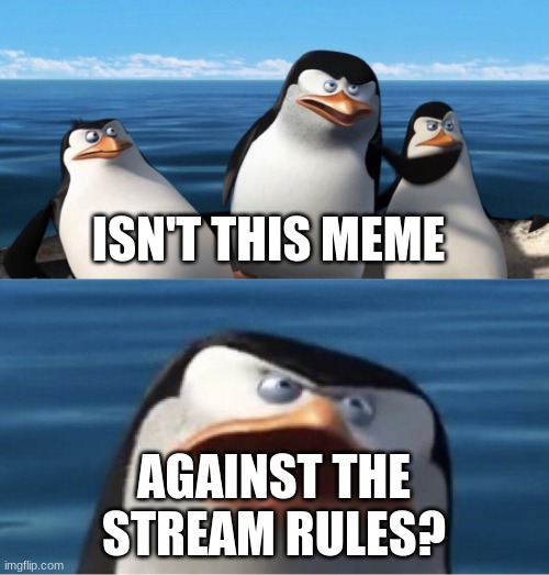 Wouldn't that make you | ISN'T THIS MEME AGAINST THE STREAM RULES? | image tagged in wouldn't that make you | made w/ Imgflip meme maker