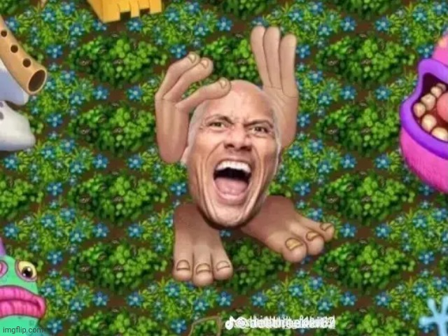 The rock | image tagged in rock,my singing monsters,funny | made w/ Imgflip meme maker