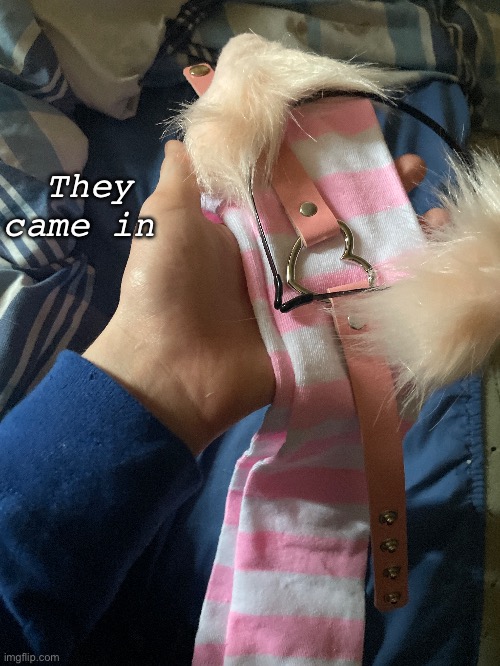 I’m not joking | They came in | made w/ Imgflip meme maker