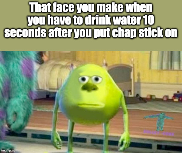 *smears chap stick on water bottle* | That face you make when you have to drink water 10 seconds after you put chap stick on | image tagged in mike wasowski sully face swap,dissapointed | made w/ Imgflip meme maker