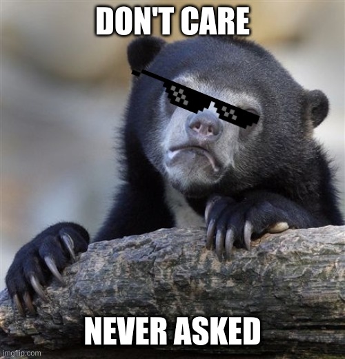 Confession Bear | DON'T CARE; NEVER ASKED | image tagged in memes,confession bear | made w/ Imgflip meme maker