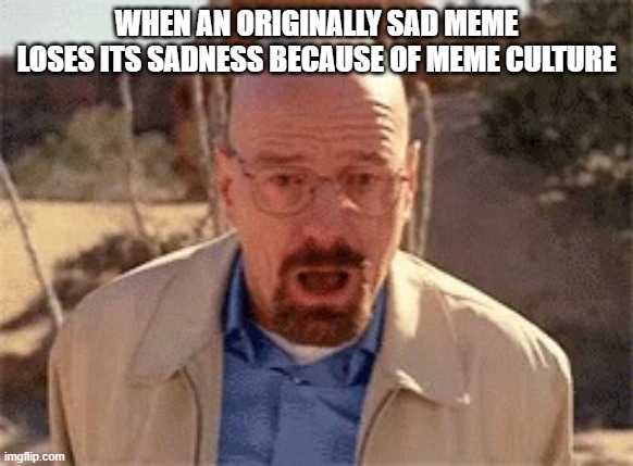 Walter White | WHEN AN ORIGINALLY SAD MEME LOSES ITS SADNESS BECAUSE OF MEME CULTURE | image tagged in walter white | made w/ Imgflip meme maker