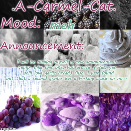 :| | meh; I will be making myself a new announcement temp. Like this one, but aroace. (aces, yes i still love garlic bread) Also, i just found out that a second grader has a fricking crush on me-- | image tagged in a-carmel-cat ace announcement | made w/ Imgflip meme maker