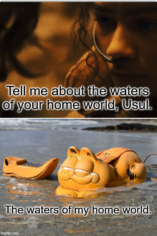 The waters of my home world | Tell me about the waters of your home world, Usul. The waters of my home world. | image tagged in dune,garfield | made w/ Imgflip meme maker