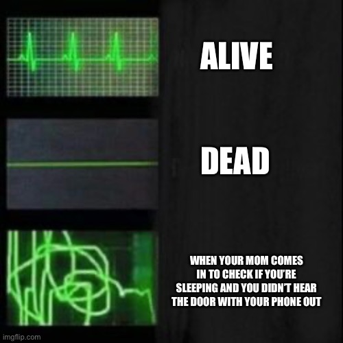 This happens to all kids | ALIVE; DEAD; WHEN YOUR MOM COMES IN TO CHECK IF YOU’RE SLEEPING AND YOU DIDN’T HEAR THE DOOR WITH YOUR PHONE OUT | image tagged in leave it blank please | made w/ Imgflip meme maker