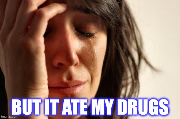 First World Problems Meme | BUT IT ATE MY DRUGS | image tagged in memes,first world problems | made w/ Imgflip meme maker