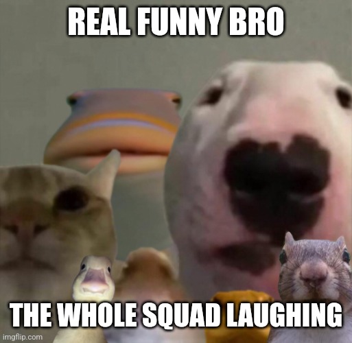 The council remastered | REAL FUNNY BRO THE WHOLE SQUAD LAUGHING | image tagged in the council remastered | made w/ Imgflip meme maker