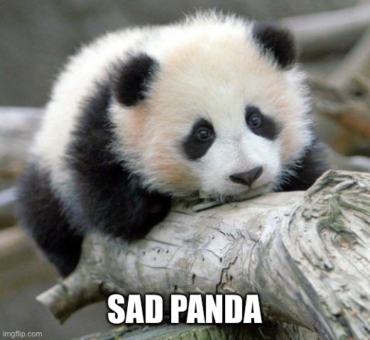 Sad Panda Work Meme | SAD PANDA | image tagged in sad panda work meme | made w/ Imgflip meme maker