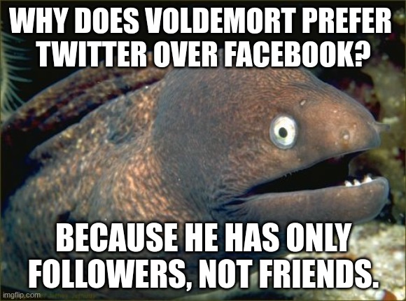 Bad Joke Eel | WHY DOES VOLDEMORT PREFER 
TWITTER OVER FACEBOOK? BECAUSE HE HAS ONLY FOLLOWERS, NOT FRIENDS. | image tagged in memes,bad joke eel | made w/ Imgflip meme maker