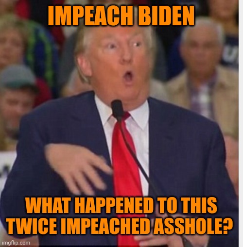 Donald Trump tho | IMPEACH BIDEN WHAT HAPPENED TO THIS TWICE IMPEACHED ASSHOLE? | image tagged in donald trump tho | made w/ Imgflip meme maker