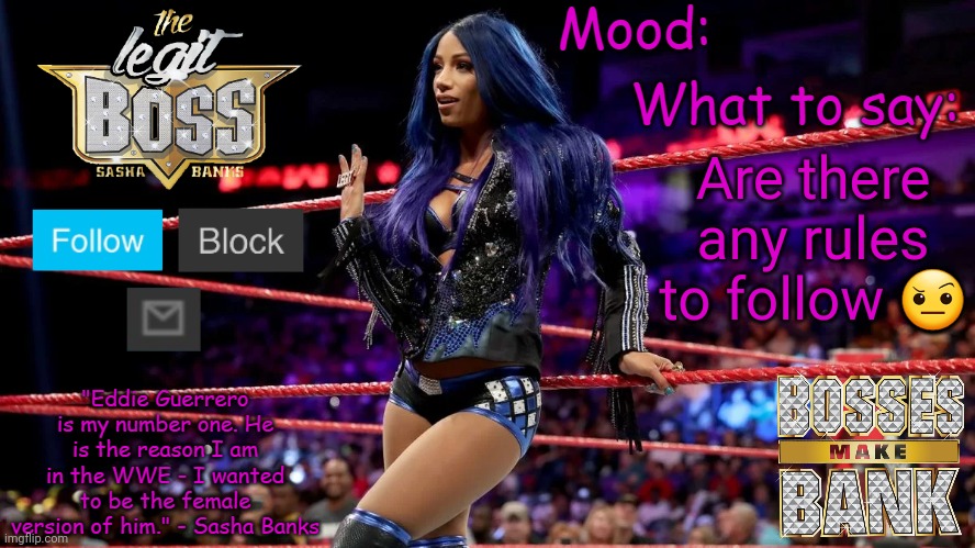 Any restrictions on what to post? (Retro's note: no NSFW posts and no posts harassing other users) | Are there any rules to follow 🤨 | image tagged in sasha banks v1 | made w/ Imgflip meme maker
