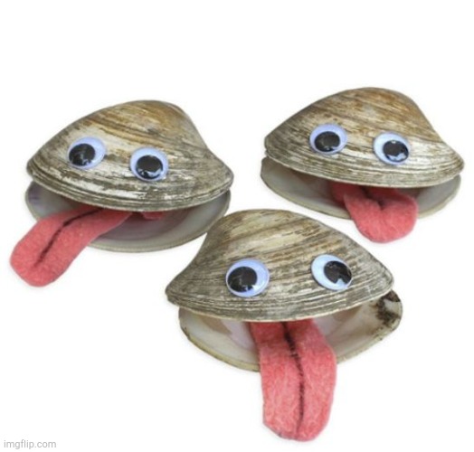 Clams | image tagged in clams | made w/ Imgflip meme maker