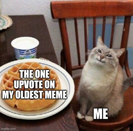 :D |  THE ONE UPVOTE ON MY OLDEST MEME; ME | image tagged in cat likes their waffle | made w/ Imgflip meme maker
