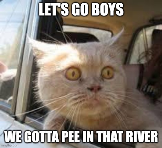 Road Trip | LET'S GO BOYS WE GOTTA PEE IN THAT RIVER | image tagged in road trip | made w/ Imgflip meme maker