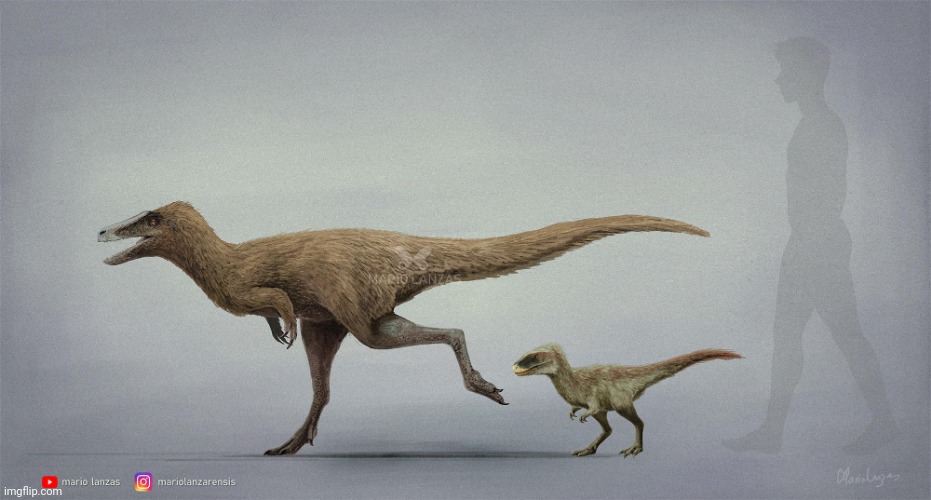 A size comparison between irl Moros and JP/W Moros | image tagged in jurassic park,jurassic world,dinosaur,moros | made w/ Imgflip meme maker