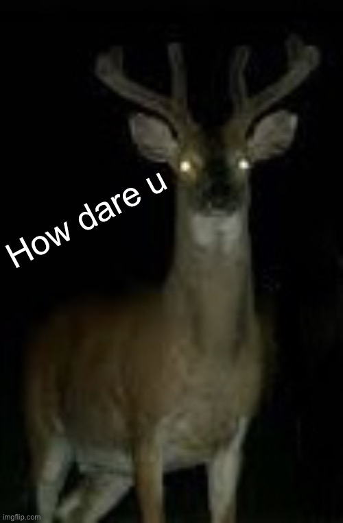 Creep Reindeer | How dare u | image tagged in creep reindeer | made w/ Imgflip meme maker