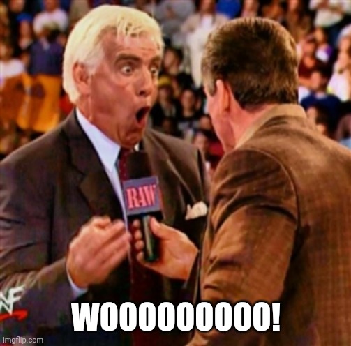 ric flair wooo | WOOOOOOOOO! | image tagged in ric flair wooo | made w/ Imgflip meme maker