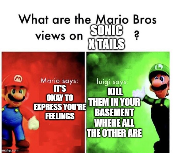 Mario Bros Views | SONIC X TAILS; IT'S OKAY TO EXPRESS YOU'RE FEELINGS; KILL THEM IN YOUR BASEMENT WHERE ALL THE OTHER ARE | image tagged in mario bros views | made w/ Imgflip meme maker