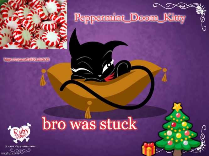 Peppermintdoomkitty | https://voca.ro/1eP6GxJn3tS9; bro was stuck | image tagged in peppermintdoomkitty | made w/ Imgflip meme maker