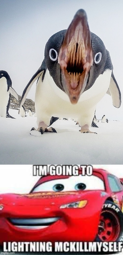 Penguins in ohio | image tagged in i'm going to lightning mckillymyself,memes,ohio,penguins,unsee juice,unsee | made w/ Imgflip meme maker