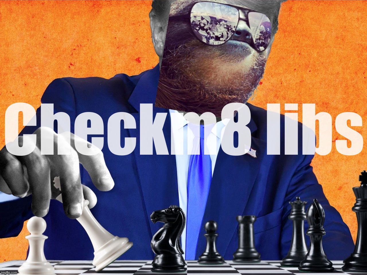 High Quality Sloth chess move checkm8 libs Blank Meme Template