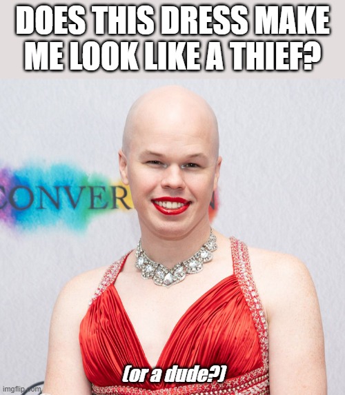 DOES THIS DRESS MAKE ME LOOK LIKE A THIEF? (or a dude?) | image tagged in sam brinton | made w/ Imgflip meme maker