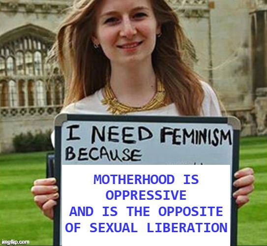 motherhood is oppressive and is the opposite of sexual liberation | MOTHERHOOD IS OPPRESSIVE
AND IS THE OPPOSITE OF SEXUAL LIBERATION | image tagged in i need feminism because | made w/ Imgflip meme maker