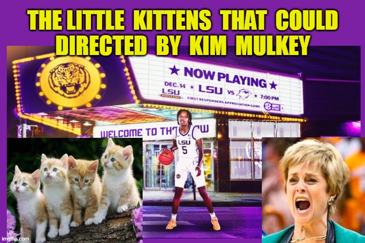 THE LITTLE  KITTENS  THAT  COULD
DIRECTED  BY  KIM  MULKEY | made w/ Imgflip meme maker