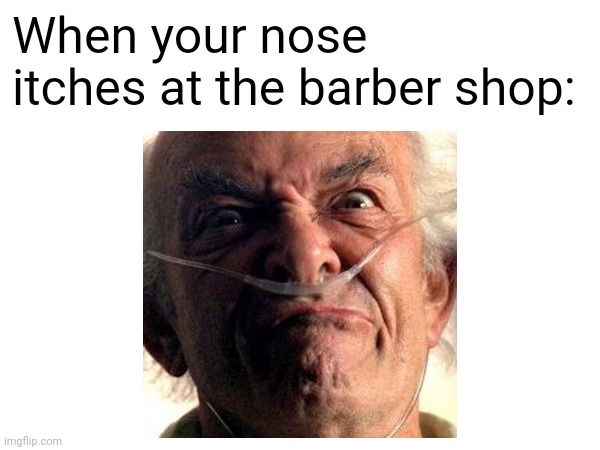 When your nose itches at the barber shop: | image tagged in so true memes | made w/ Imgflip meme maker