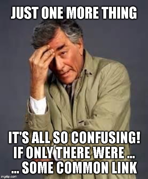 Columbo | JUST ONE MORE THING; IT'S ALL SO CONFUSING!
IF ONLY THERE WERE ...
... SOME COMMON LINK | image tagged in columbo | made w/ Imgflip meme maker