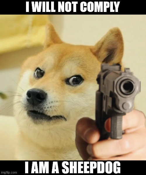 Angry doge | I WILL NOT COMPLY; I AM A SHEEPDOG | image tagged in angry doge,not comply dog | made w/ Imgflip meme maker