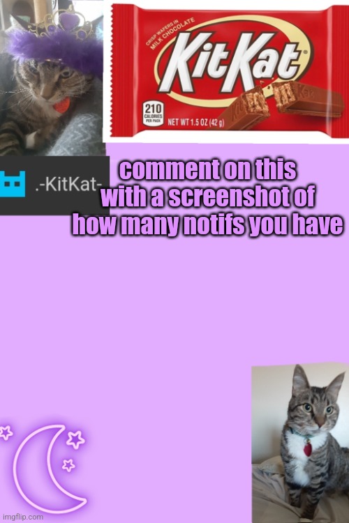 Kittys announcement template kitkat addition | comment on this with а screenshot of how many notifs you have | image tagged in kittys announcement template kitkat addition | made w/ Imgflip meme maker