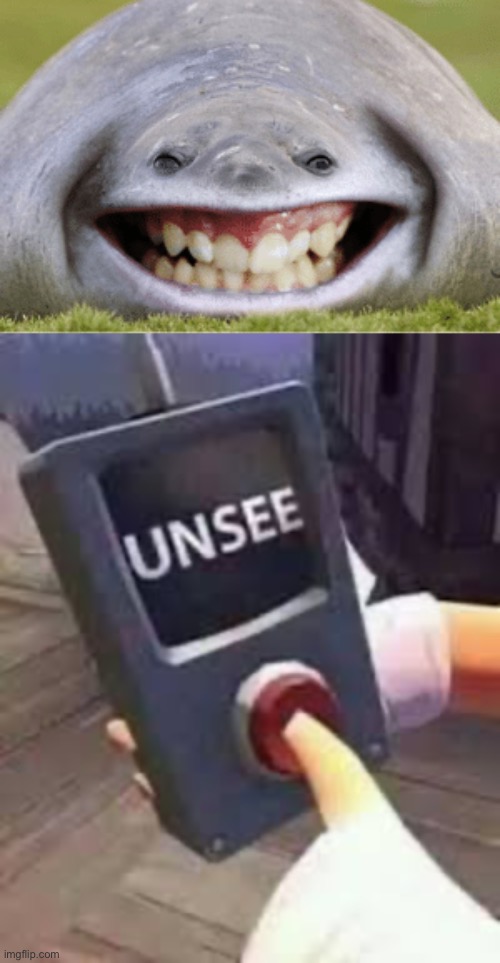 Thanks, I hate it Now. | image tagged in unsee button,memes,unsee,funny,unsee juice,cursed image | made w/ Imgflip meme maker