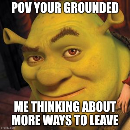 Shrek Sexy Face | POV YOUR GROUNDED; ME THINKING ABOUT MORE WAYS TO LEAVE | image tagged in shrek sexy face | made w/ Imgflip meme maker