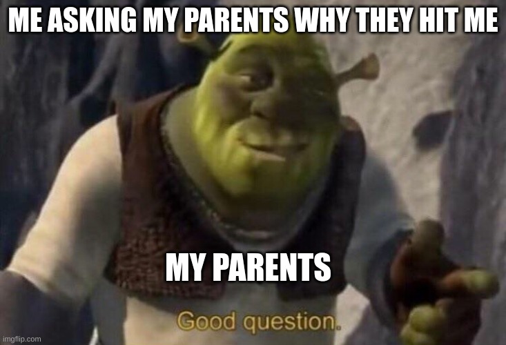 Shrek good question | ME ASKING MY PARENTS WHY THEY HIT ME; MY PARENTS | image tagged in shrek good question | made w/ Imgflip meme maker