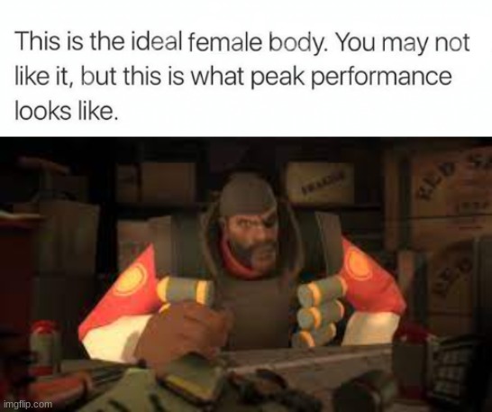 image tagged in ideal female body | made w/ Imgflip meme maker