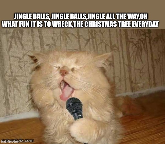 Cat Singing | JINGLE BALLS, JINGLE BALLS,JINGLE ALL THE WAY,OH WHAT FUN IT IS TO WRECK,THE CHRISTMAS TREE EVERYDAY | image tagged in cat singing | made w/ Imgflip meme maker